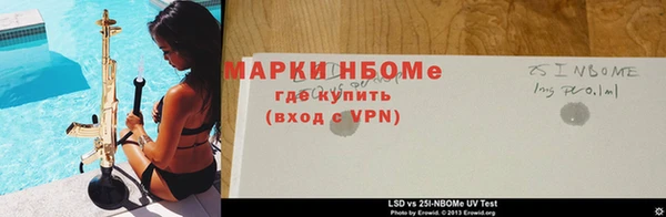 спиды Абаза