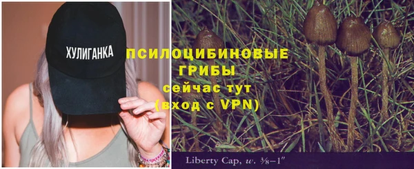 соль курить ск Алексин