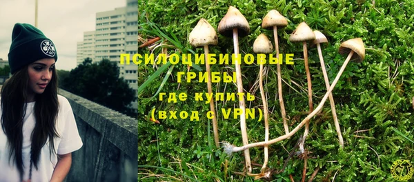 ешки Алексеевка