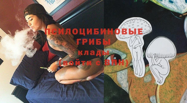 соль курить ск Алексин