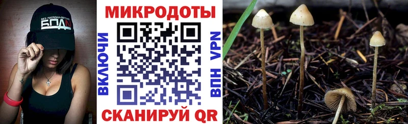 гидра ссылка  Хадыженск  Галлюциногенные грибы Magic Shrooms 